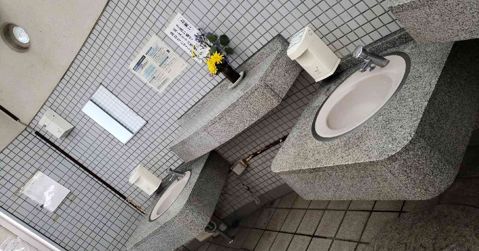投稿された画像