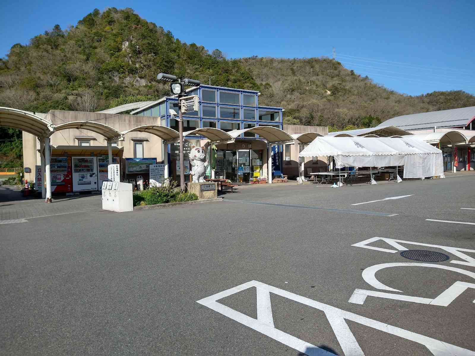 投稿された画像