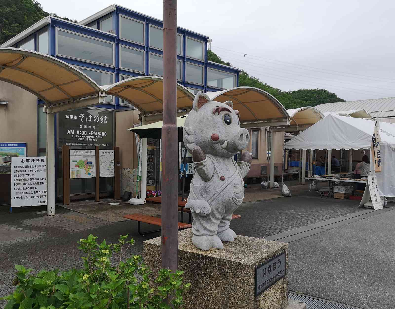 投稿された画像