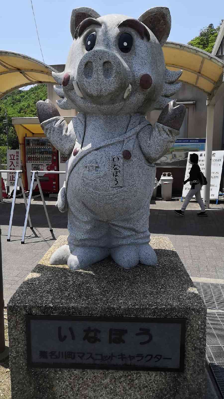 投稿された画像