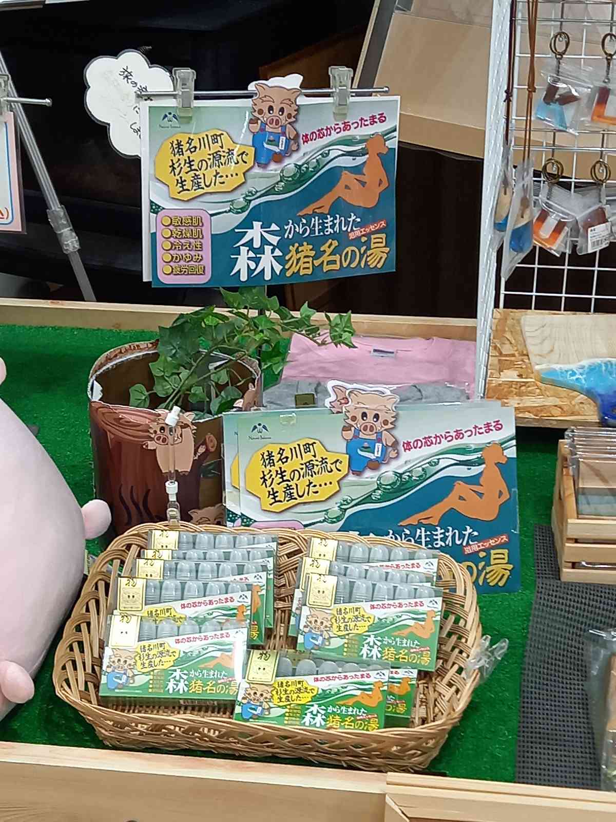 投稿された画像