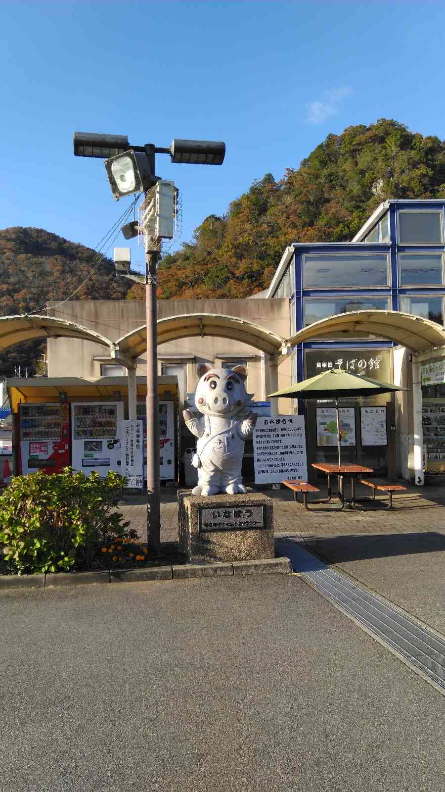投稿された画像
