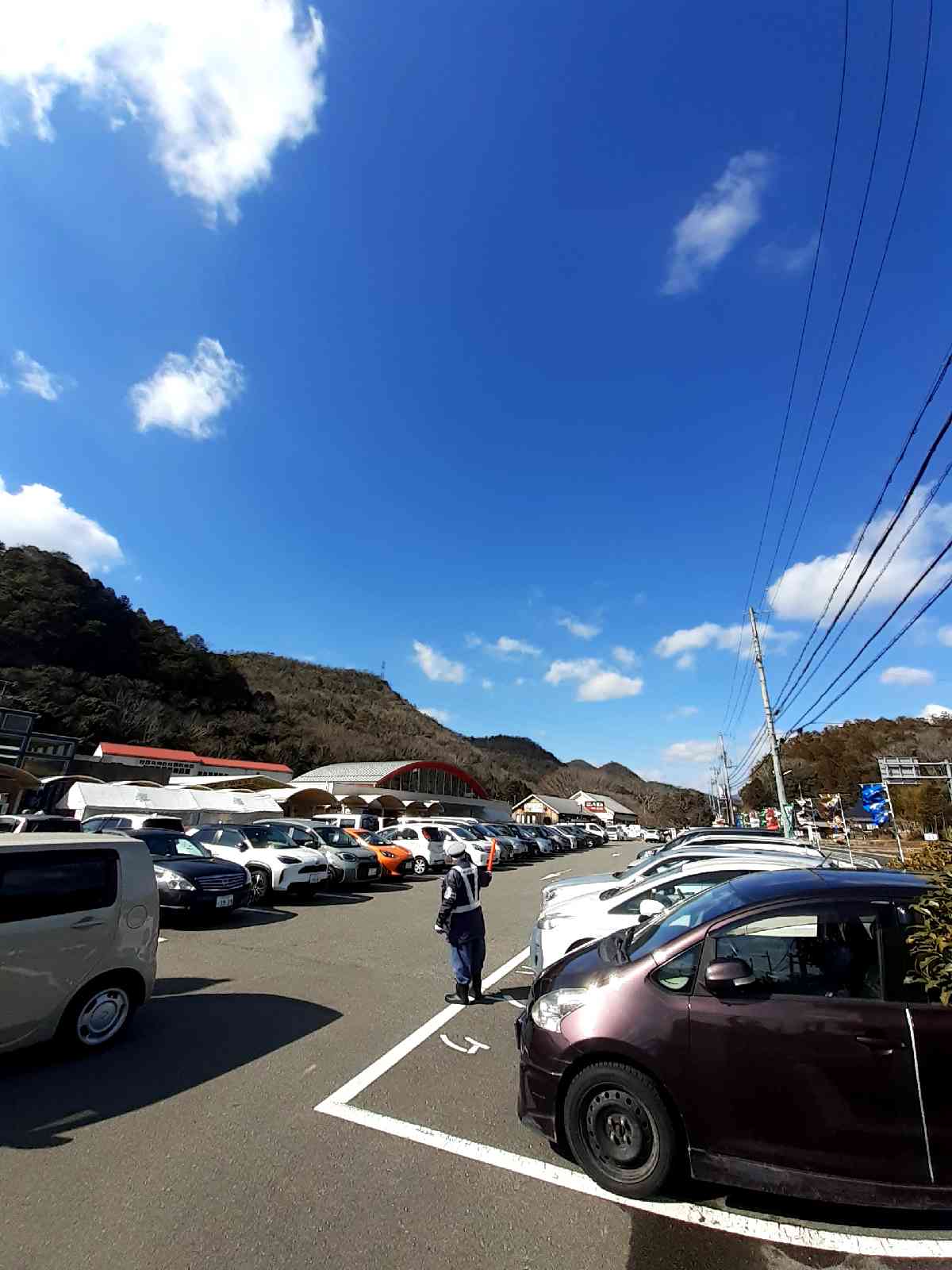 投稿された画像
