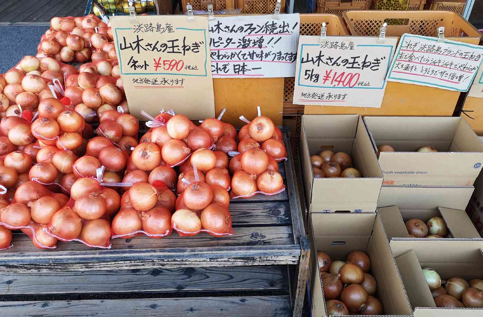 投稿された画像