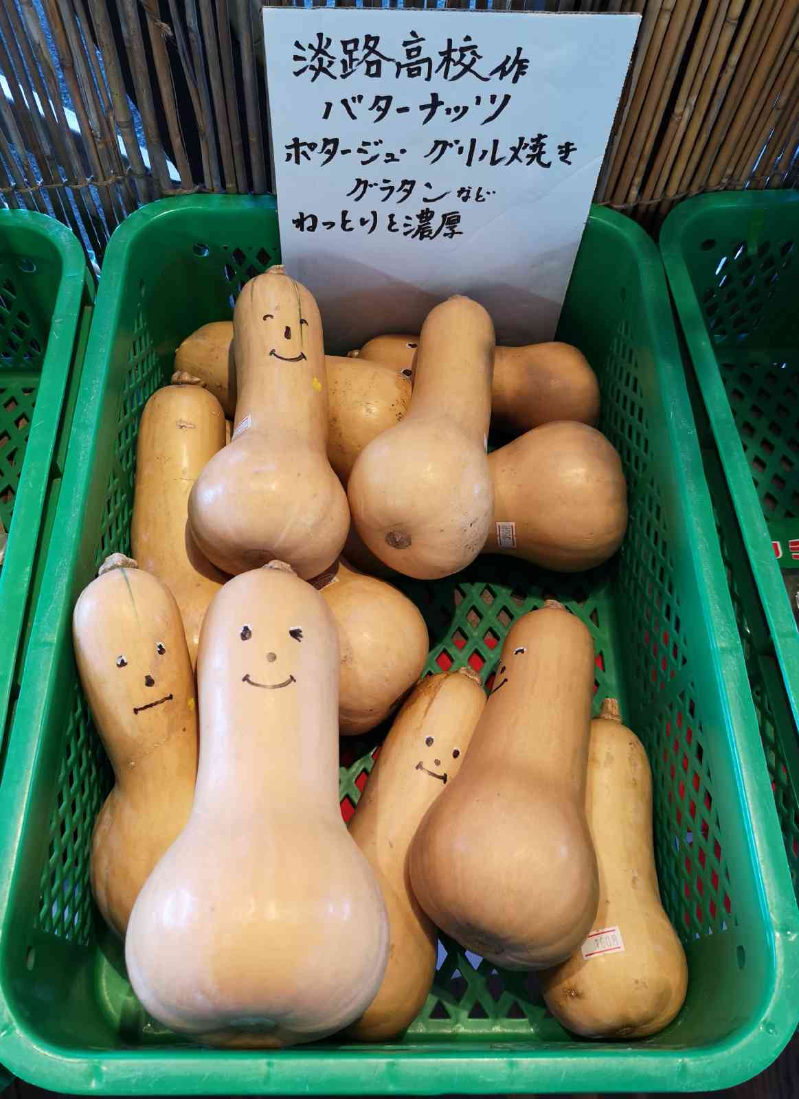 投稿された画像