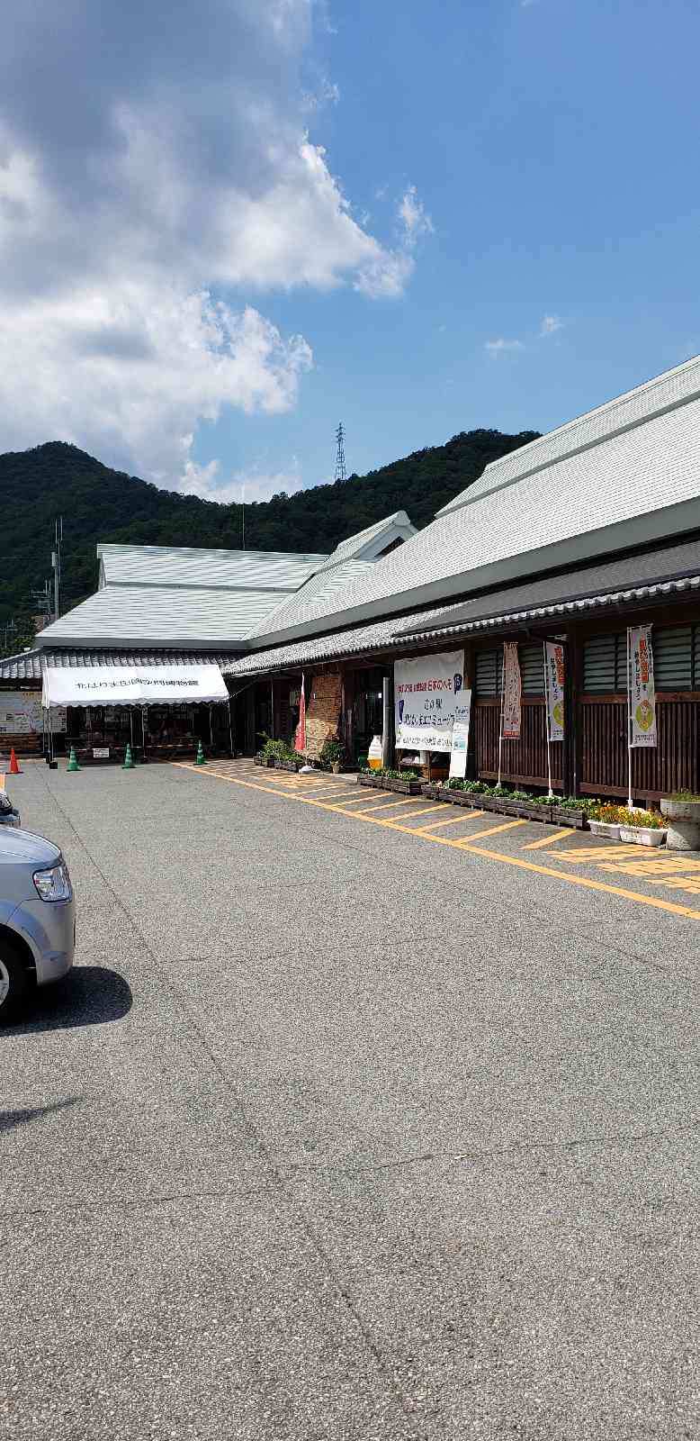 投稿された画像