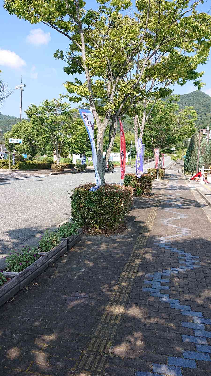 投稿された画像