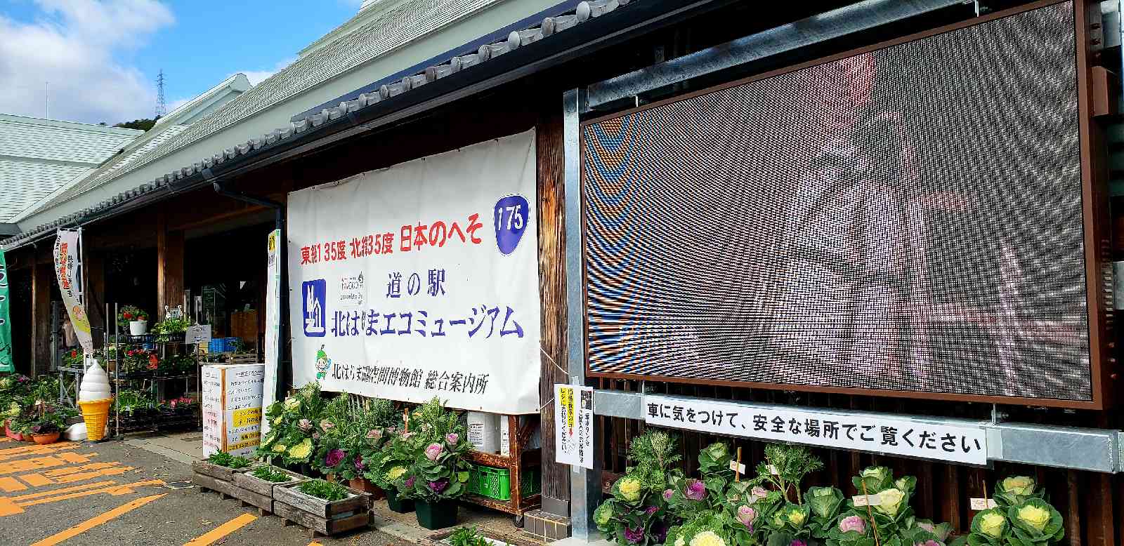 投稿された画像
