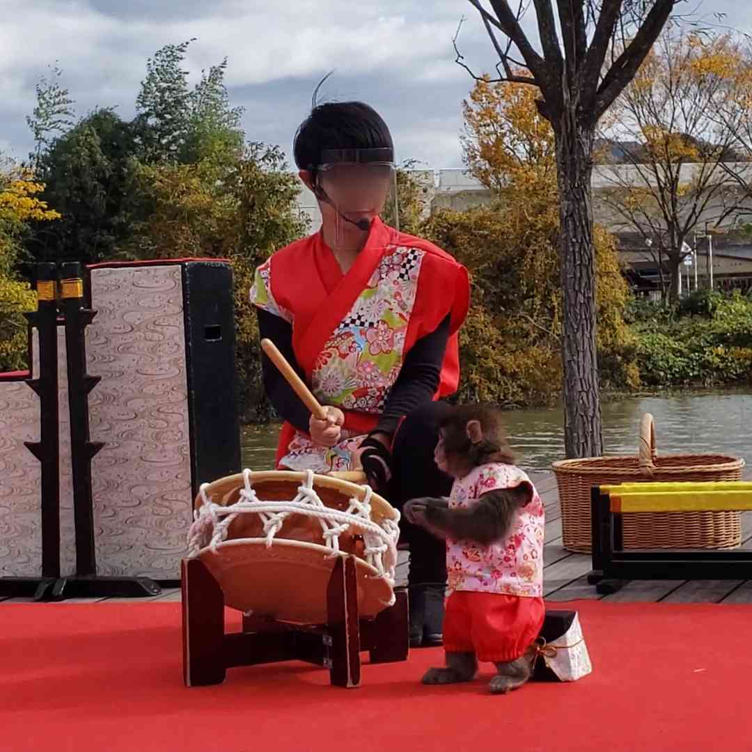 投稿された画像