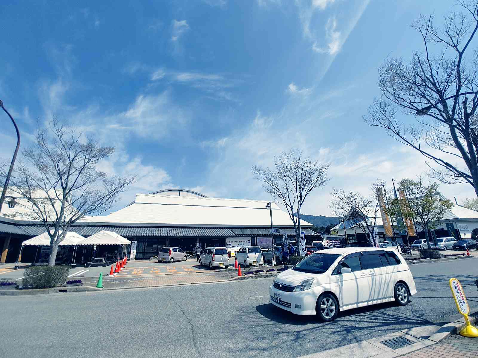 投稿された画像