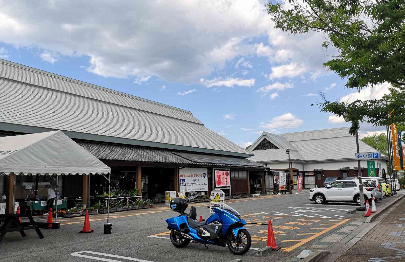 投稿された画像