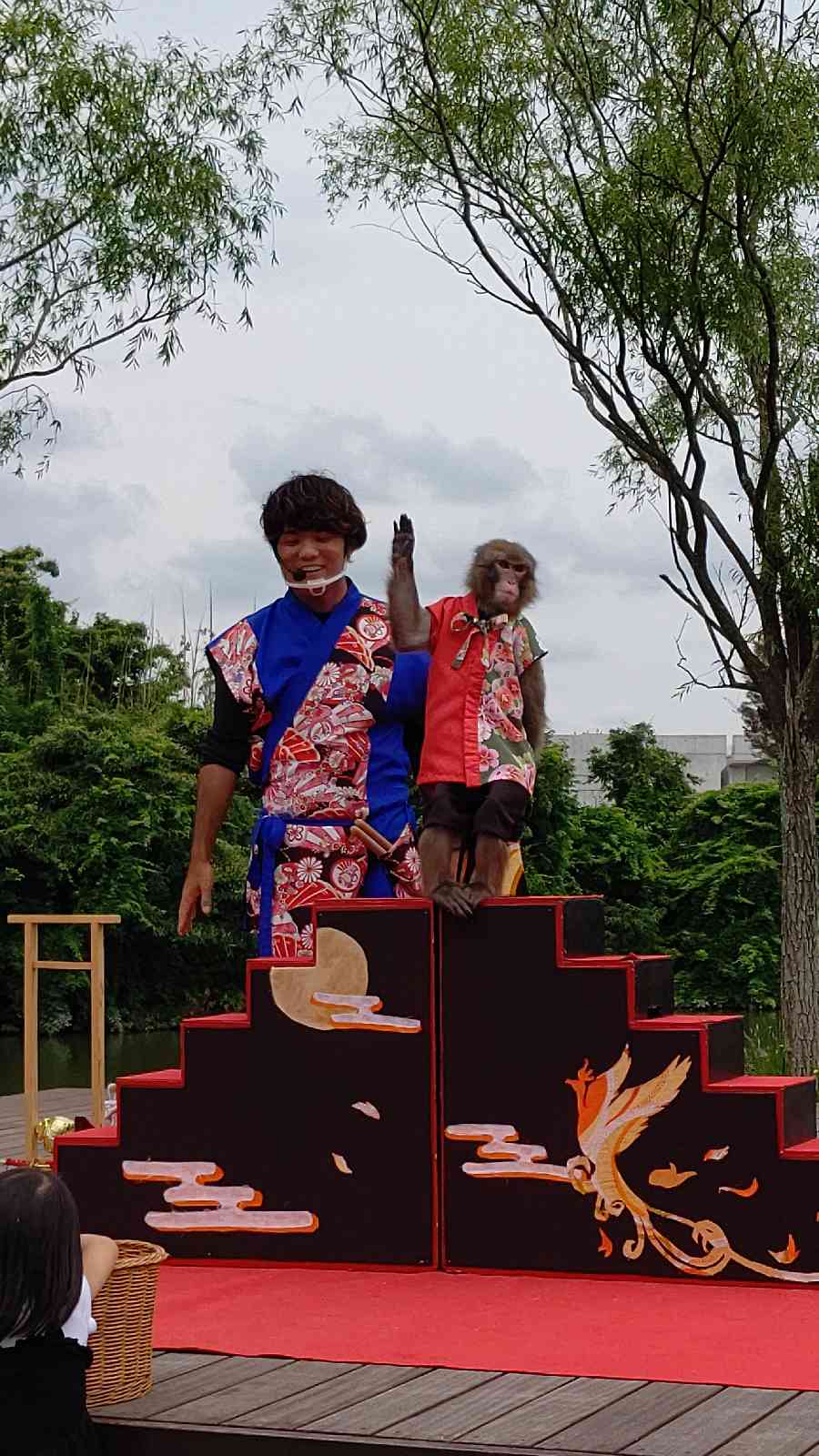 投稿された画像