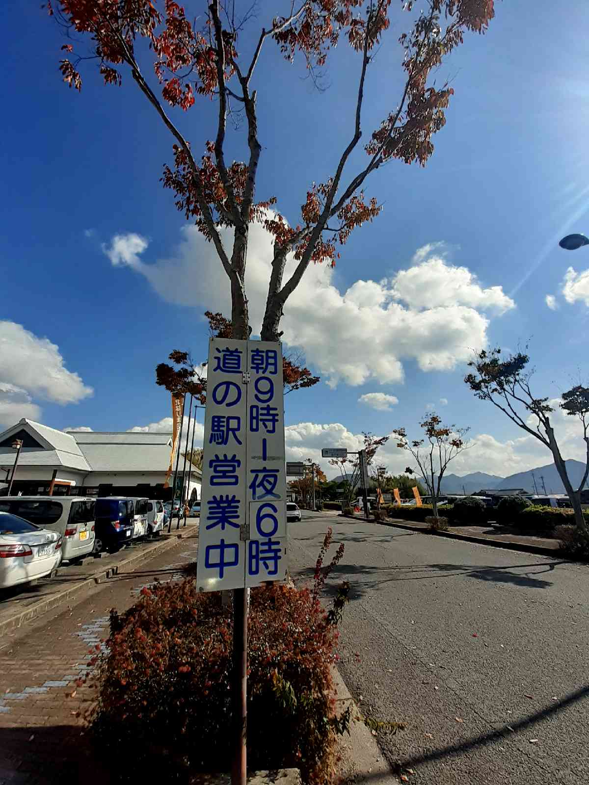 投稿された画像