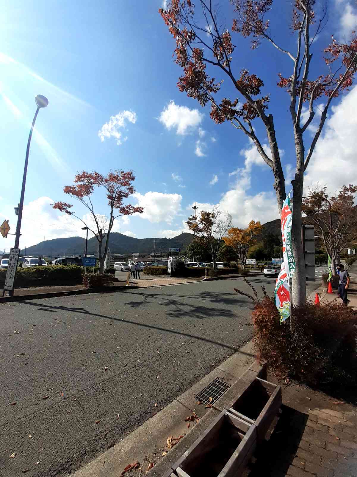 投稿された画像