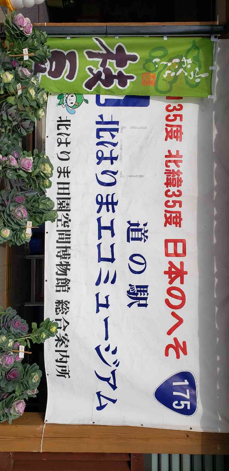 投稿された画像