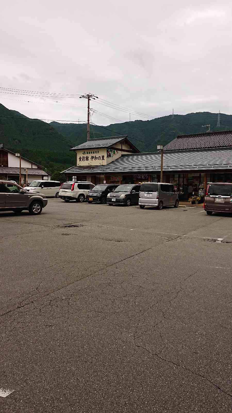投稿された画像