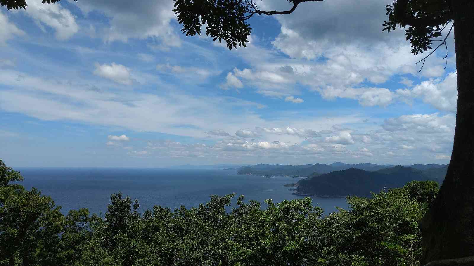 投稿された画像