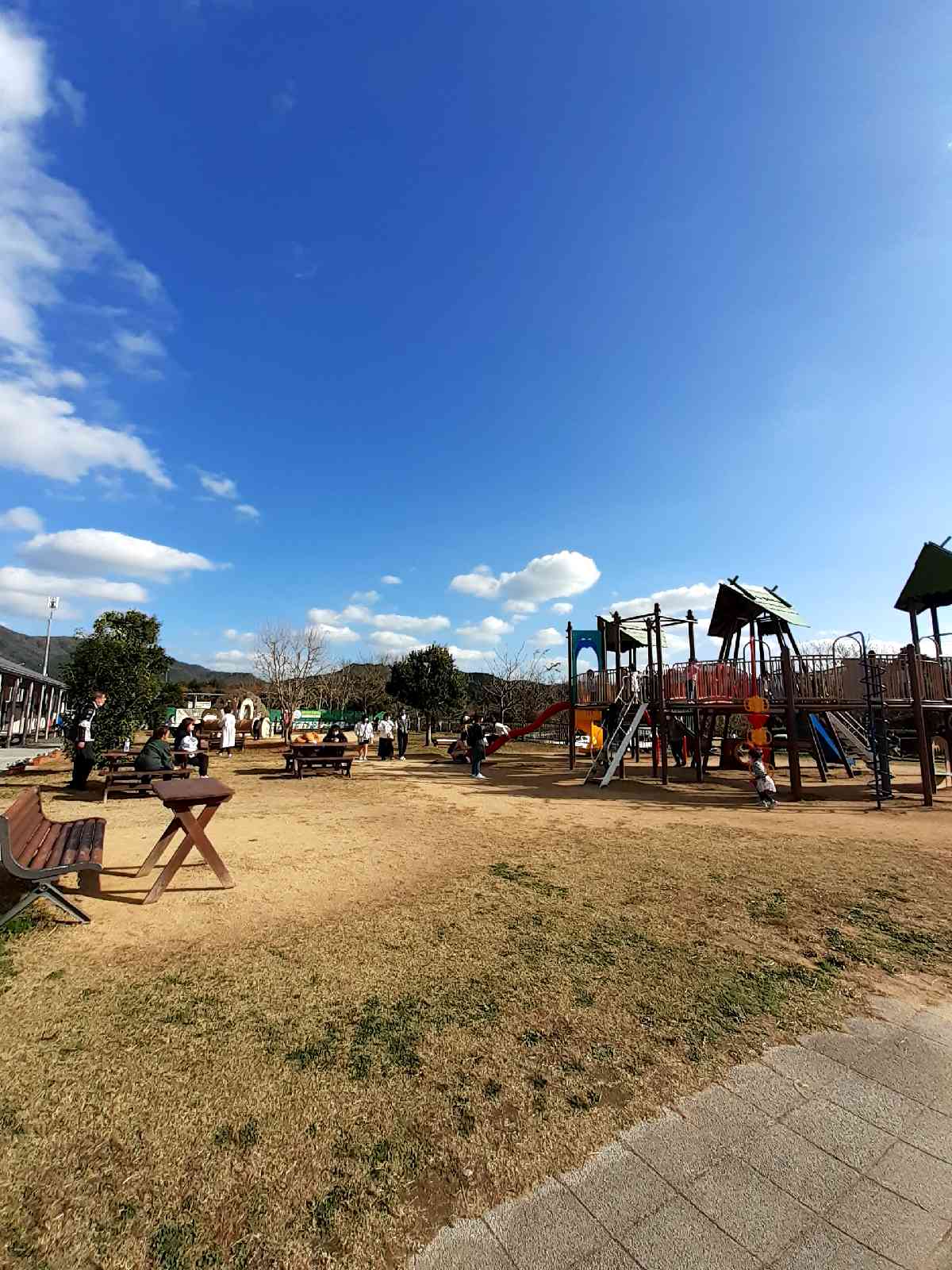 投稿された画像