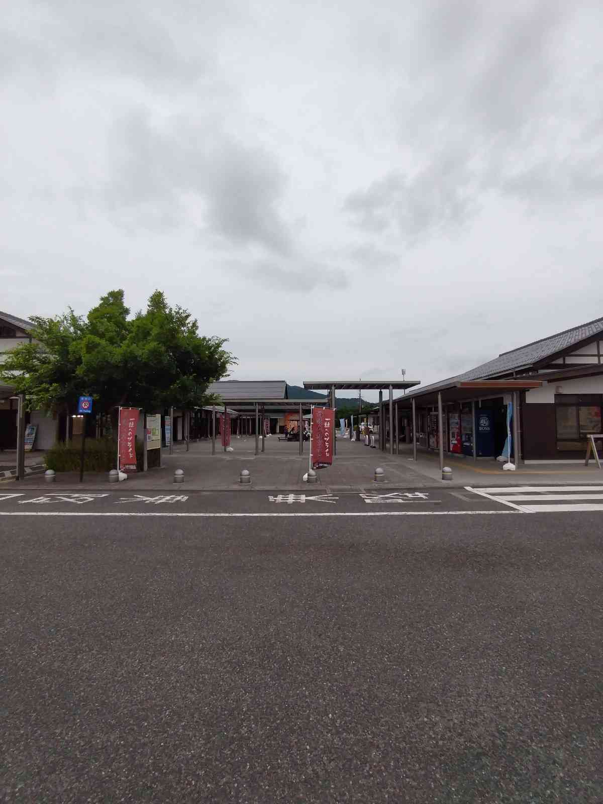 投稿された画像