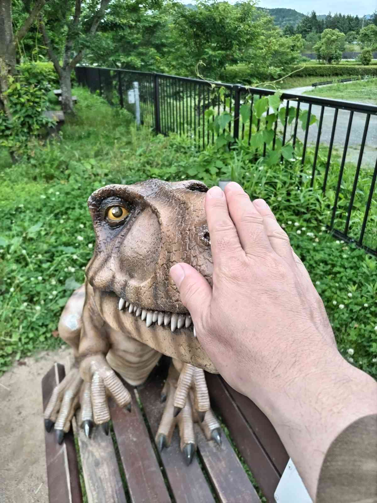 投稿された画像