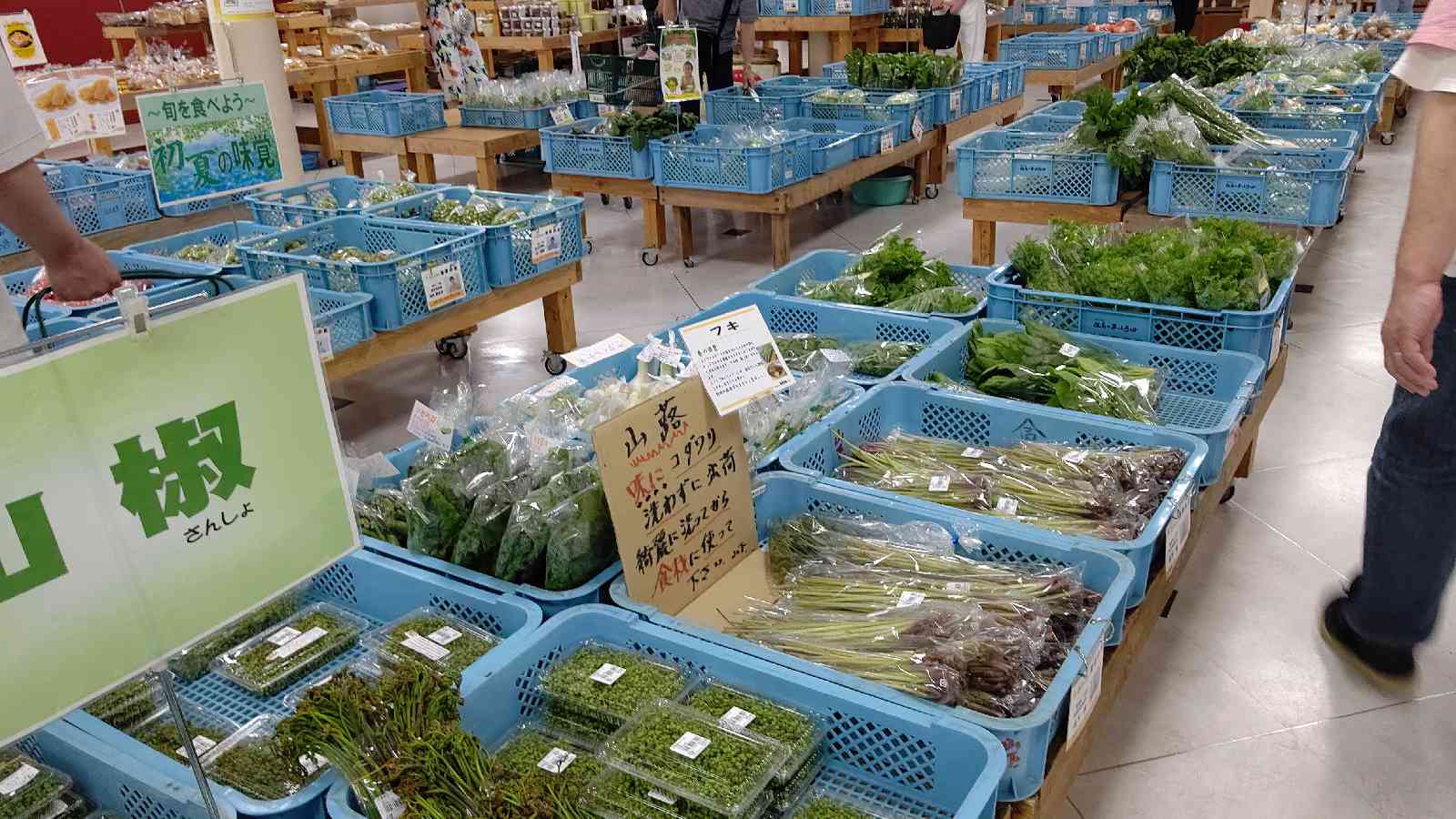 投稿された画像