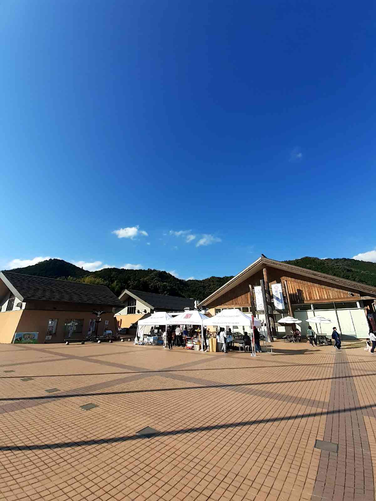 投稿された画像