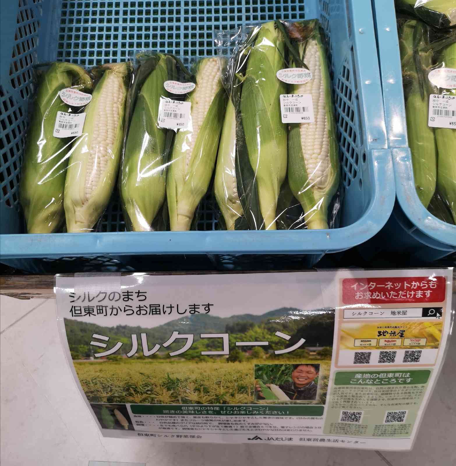 道の駅 但馬のまほろばの写真
