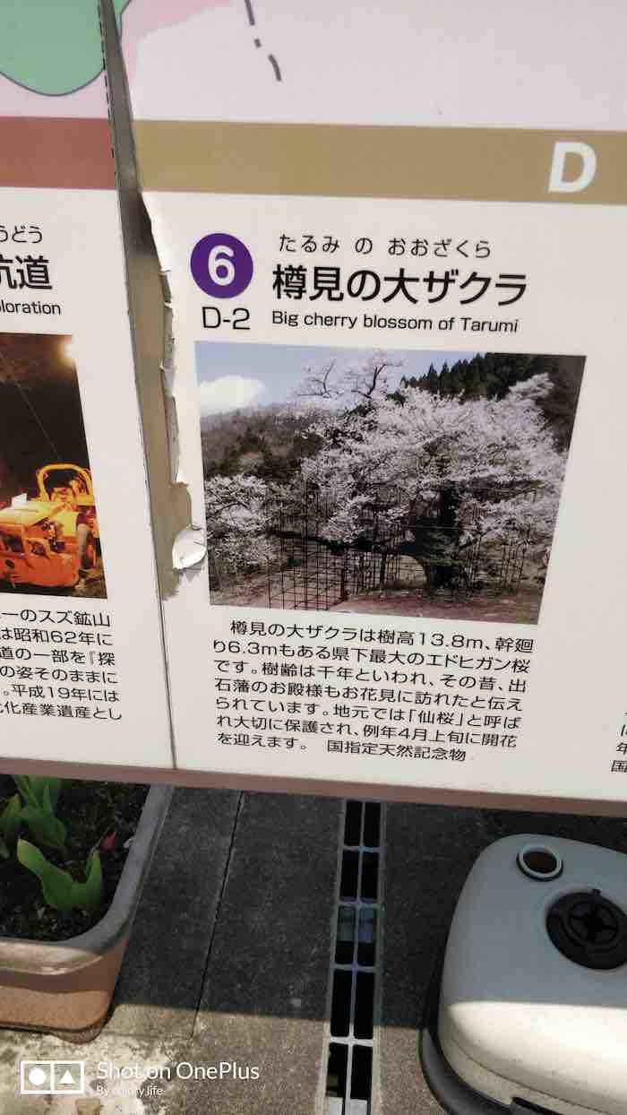 投稿された画像
