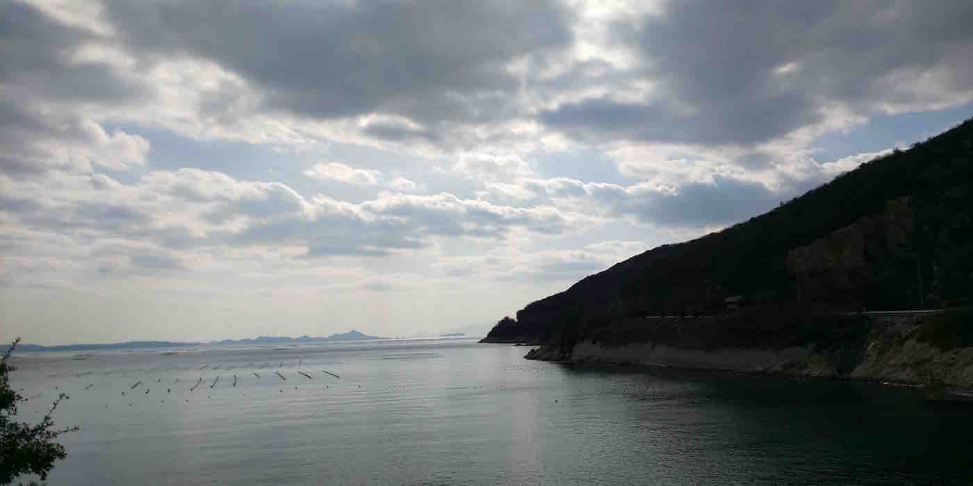 投稿された画像