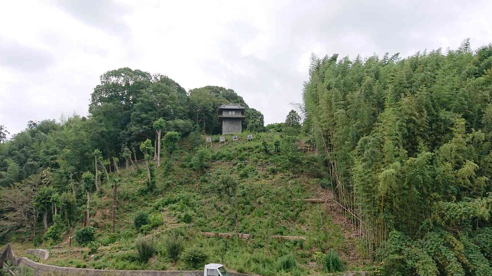 投稿された画像