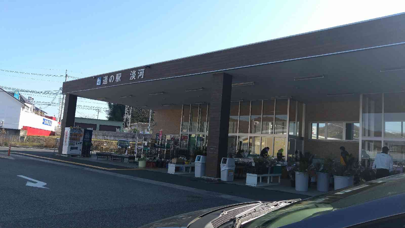 投稿された画像