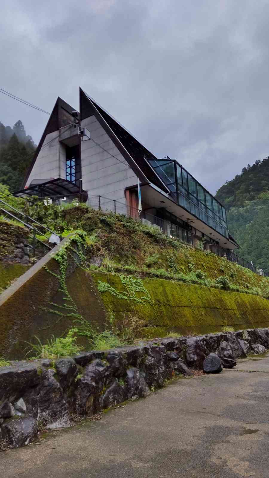 投稿された画像