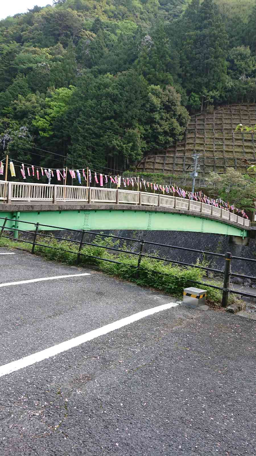 投稿された画像