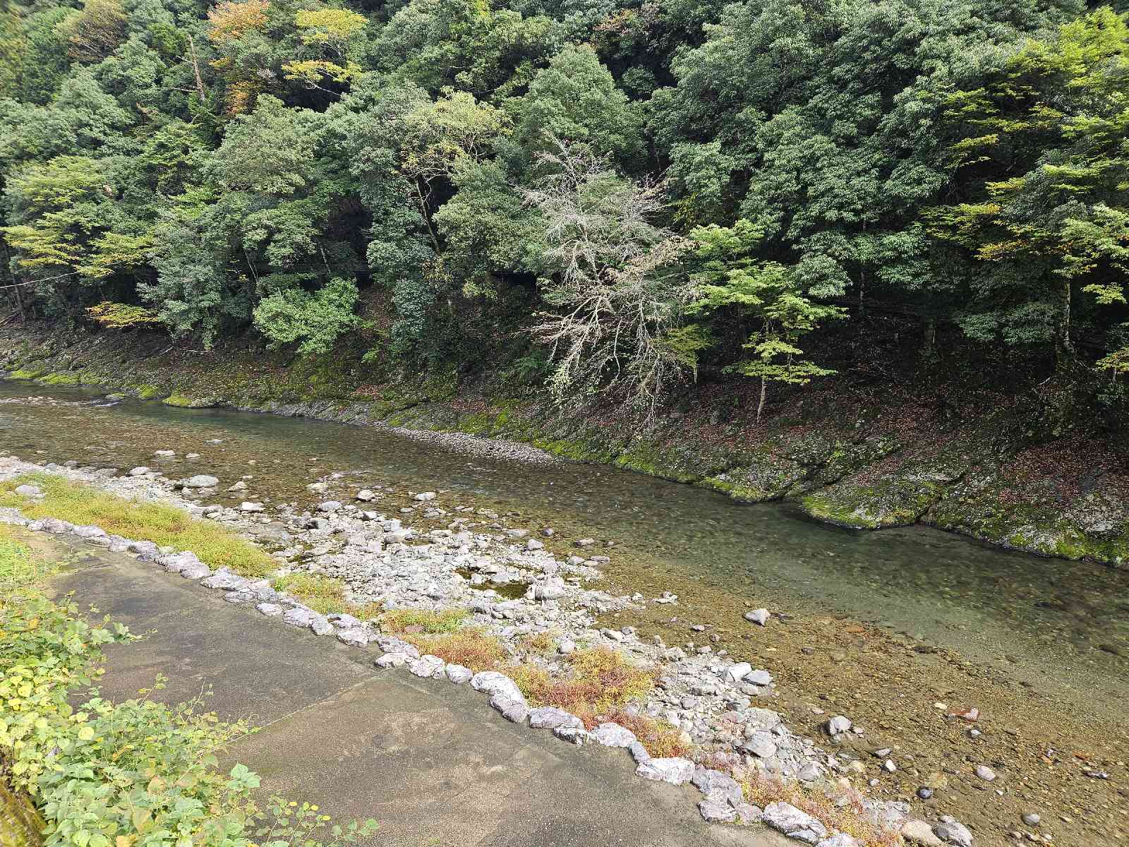 道の駅 吉野路　上北山の写真