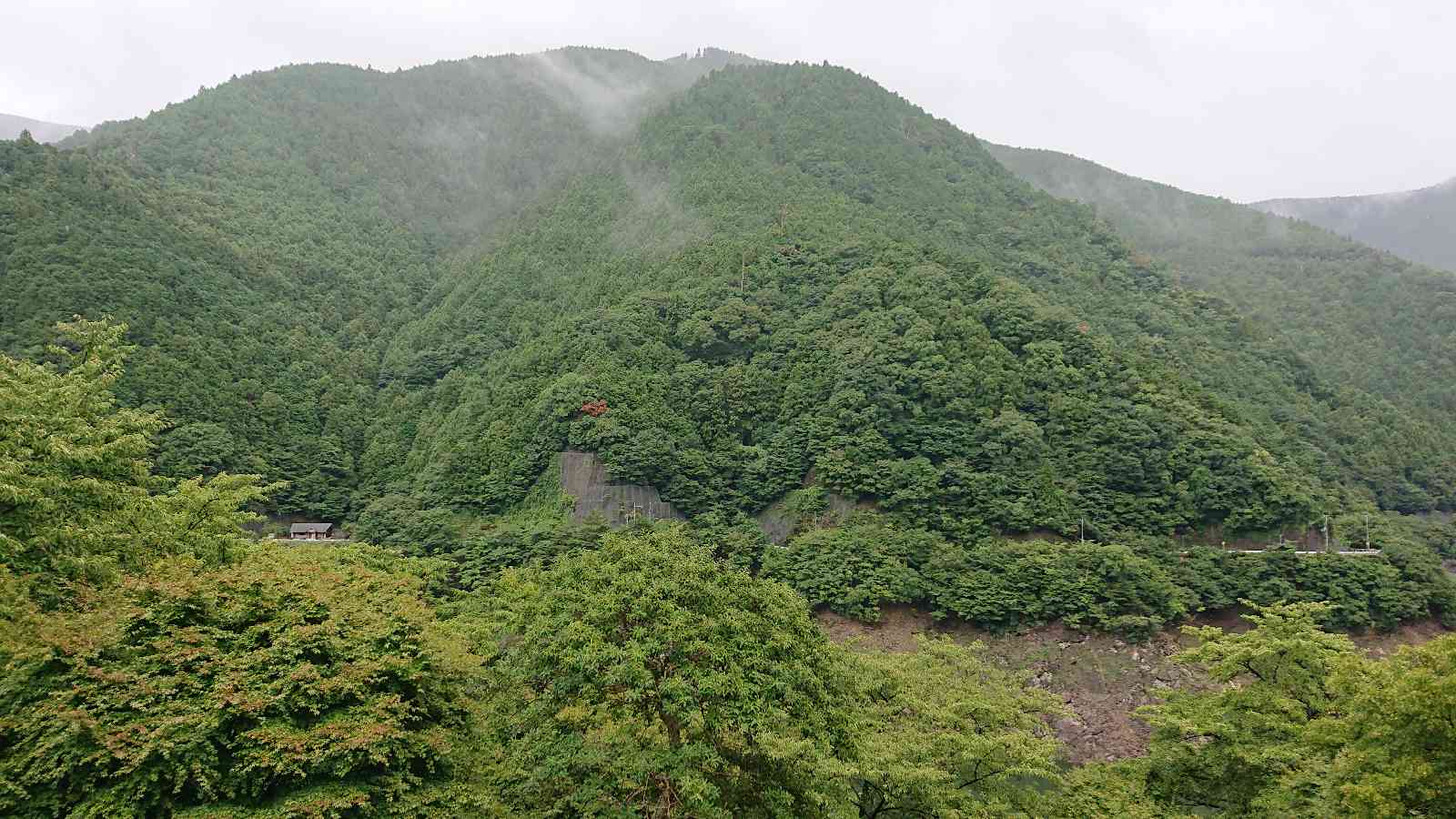 投稿された画像