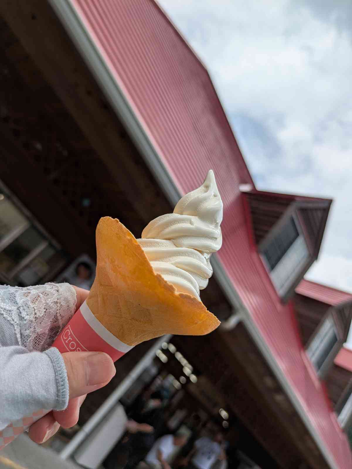 道の駅 杉の湯　川上の写真