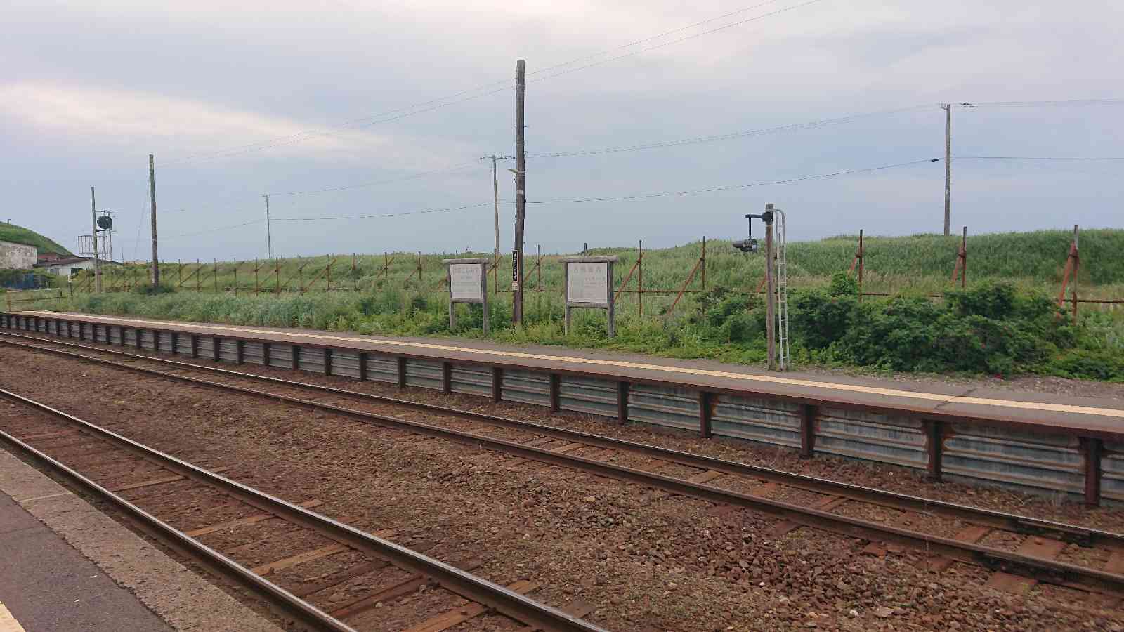 投稿された画像