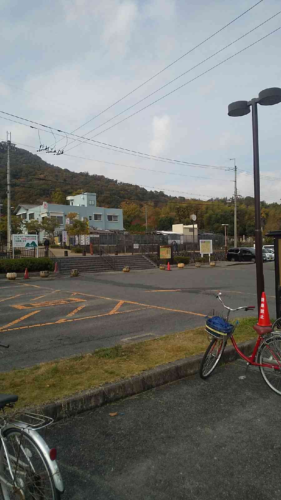 投稿された画像