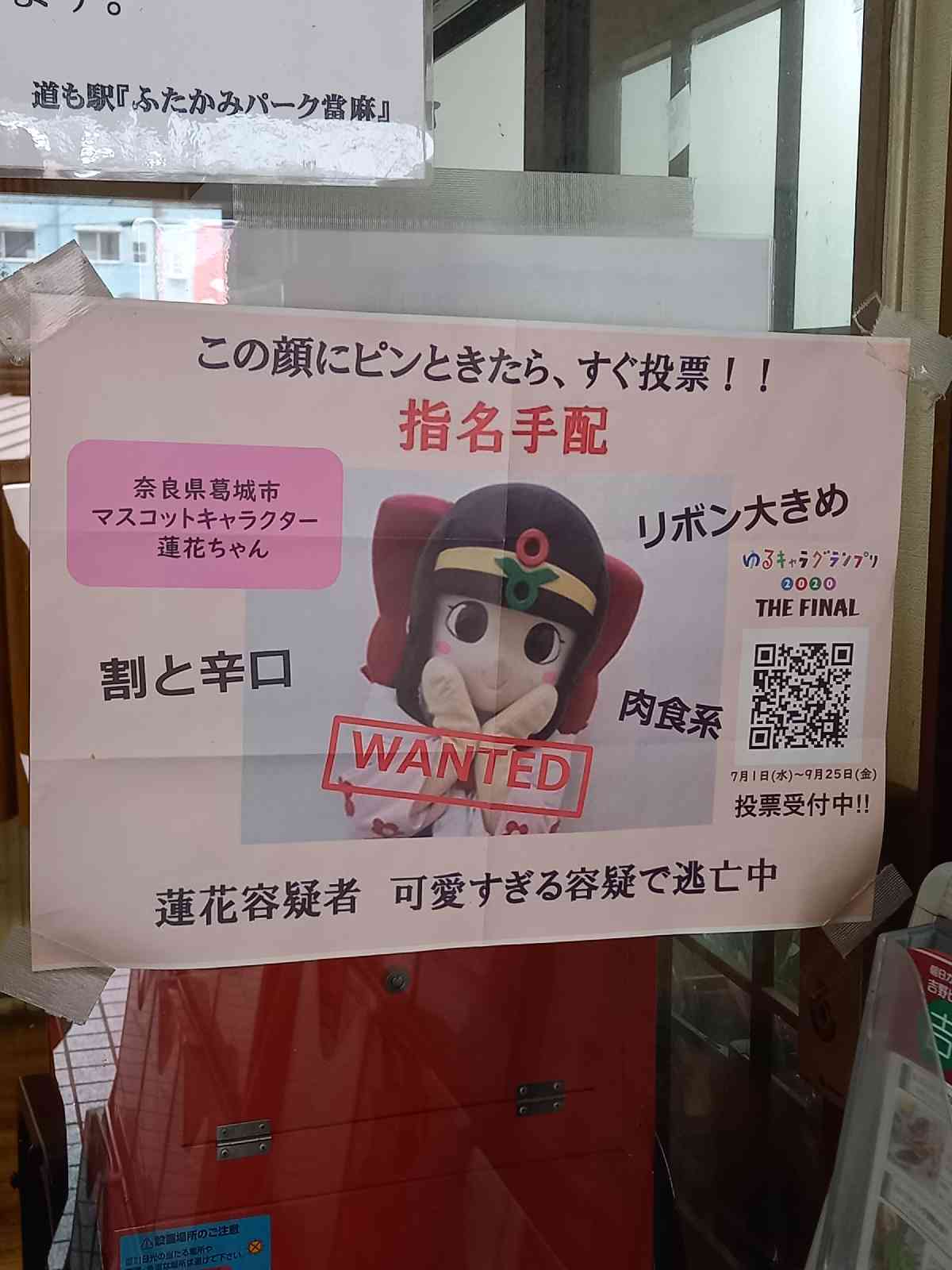 投稿された画像