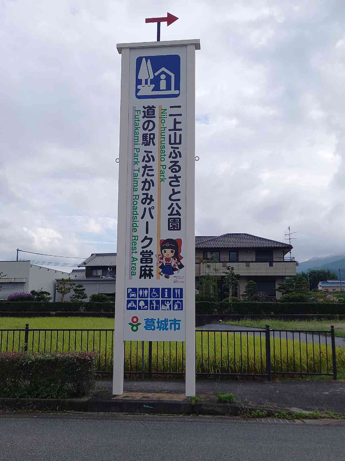 投稿された画像