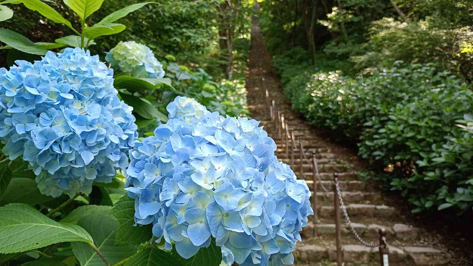 道の駅 ふたかみパーク當麻の写真