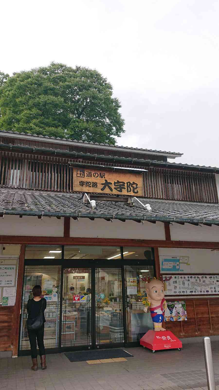 投稿された画像