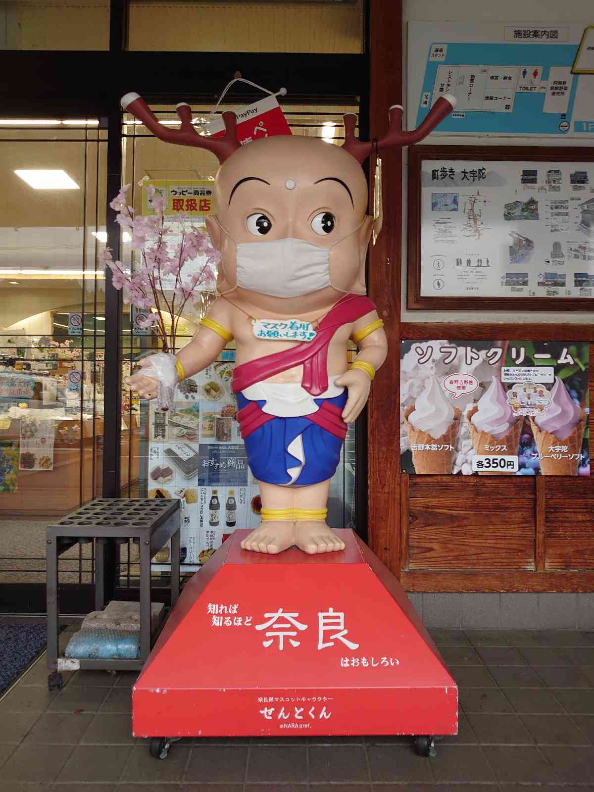 投稿された画像