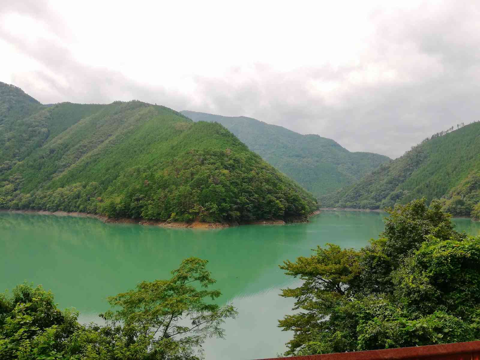 投稿された画像