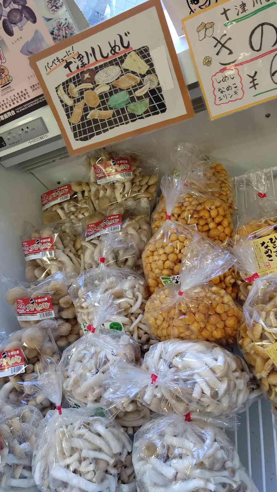 投稿された画像