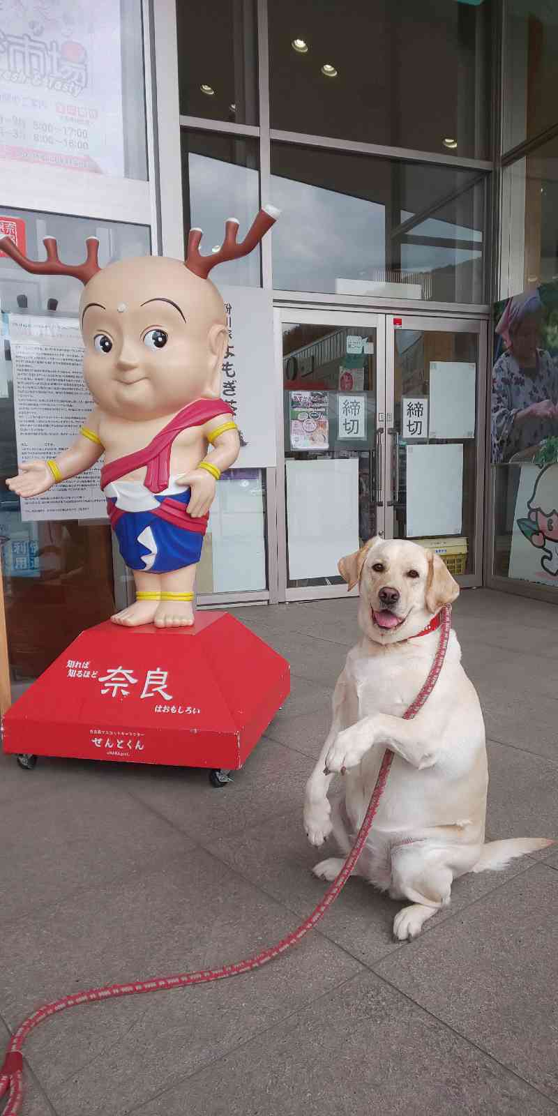 投稿された画像