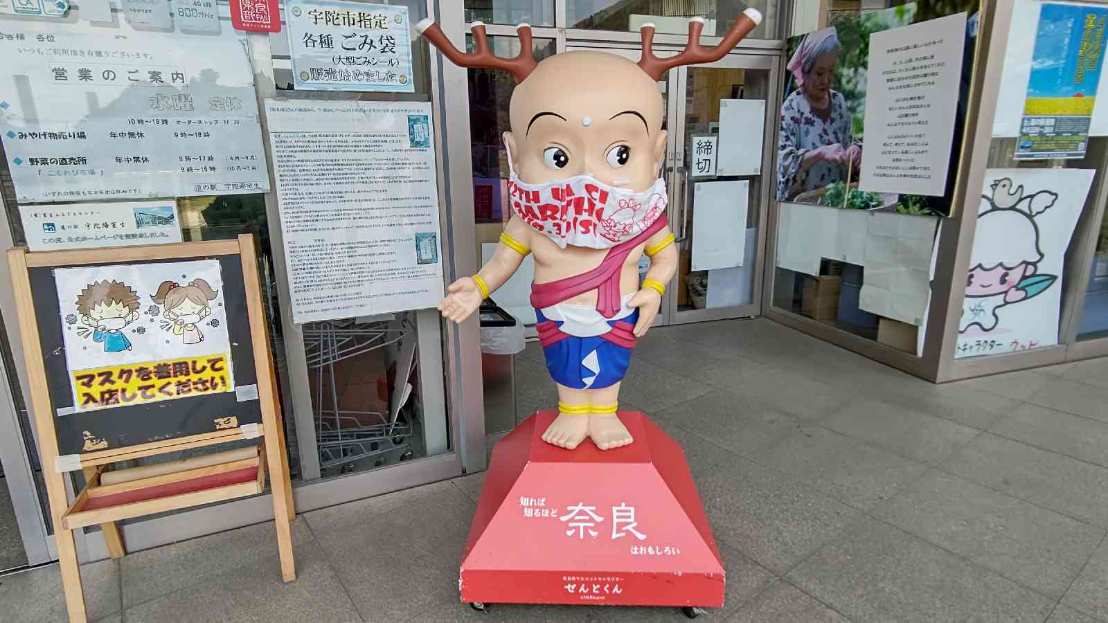 投稿された画像
