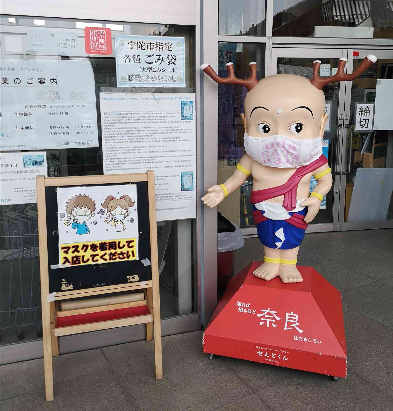 投稿された画像