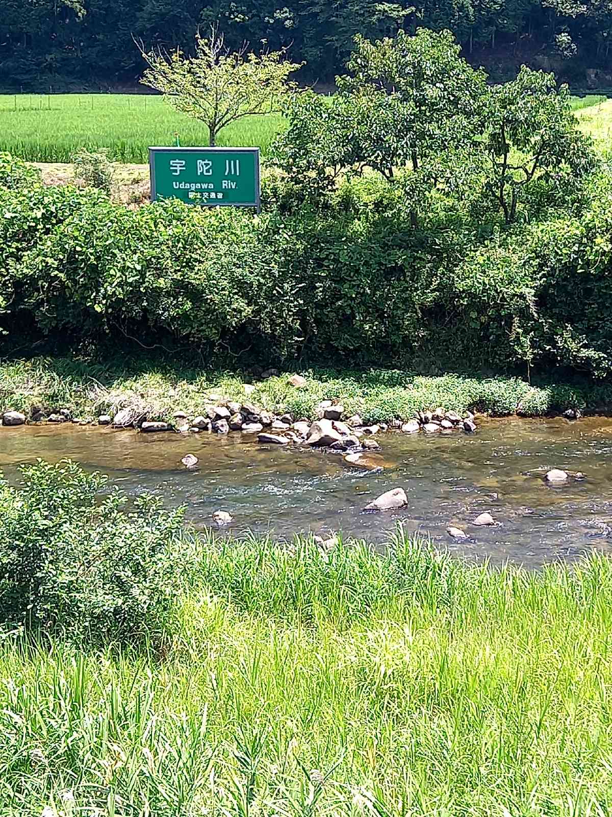 投稿された画像