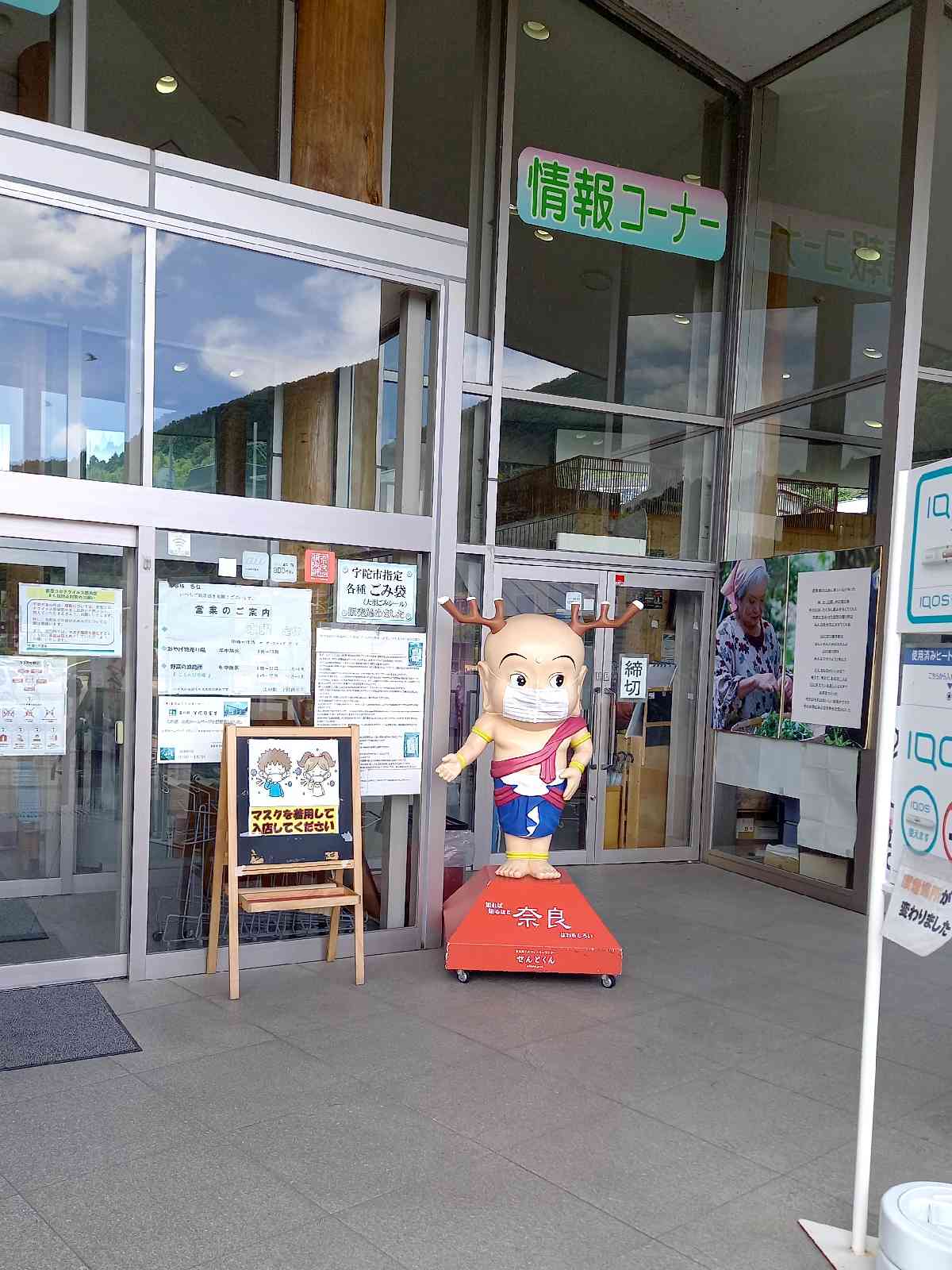 投稿された画像